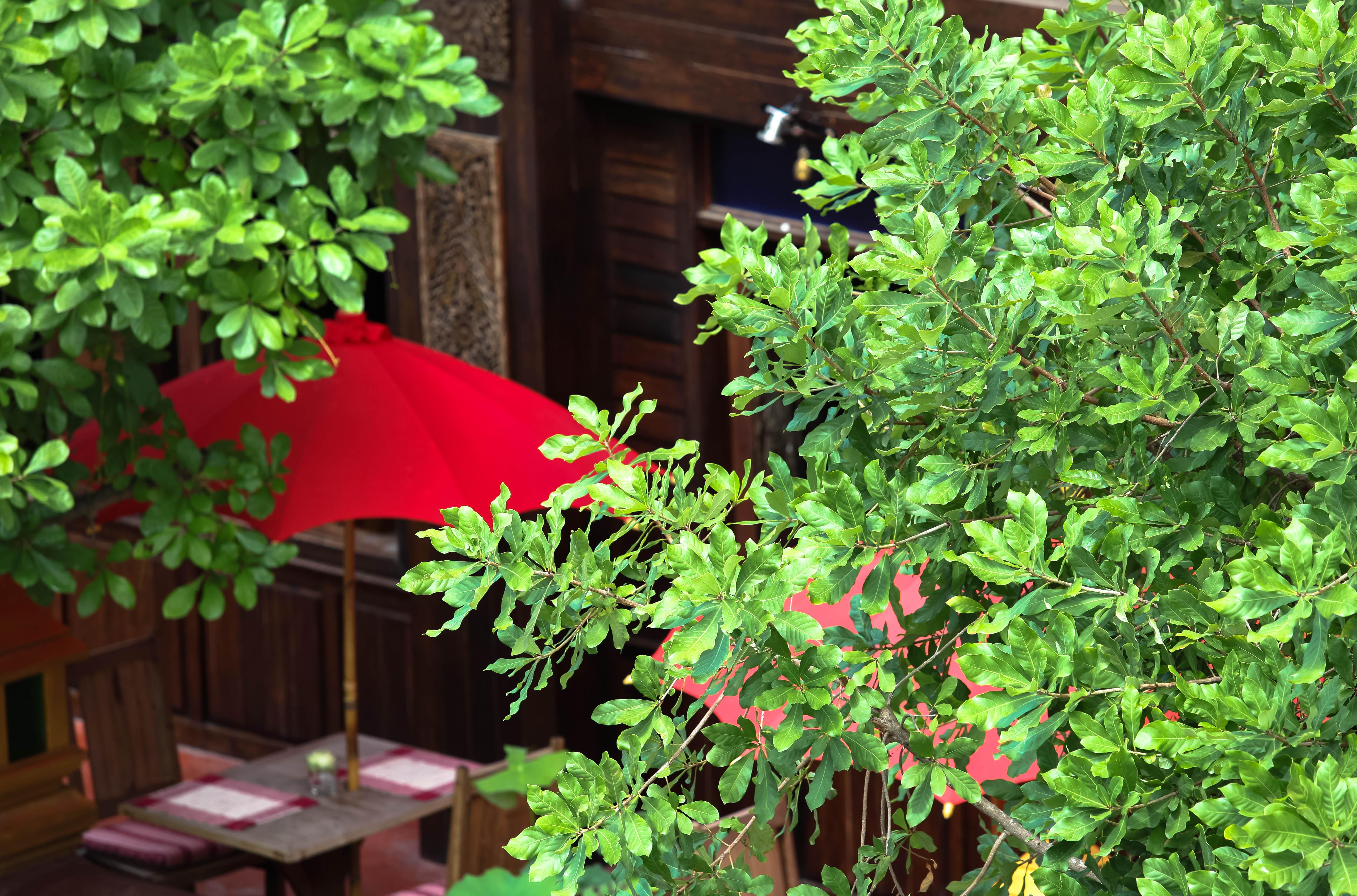 Singha Montra Lanna Boutique Style Hotel Chiang Mai Zewnętrze zdjęcie